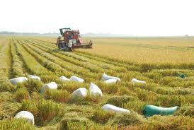 Bao giờ nông dân giàu có?